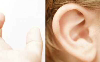 Senses are a way to customer’s heart